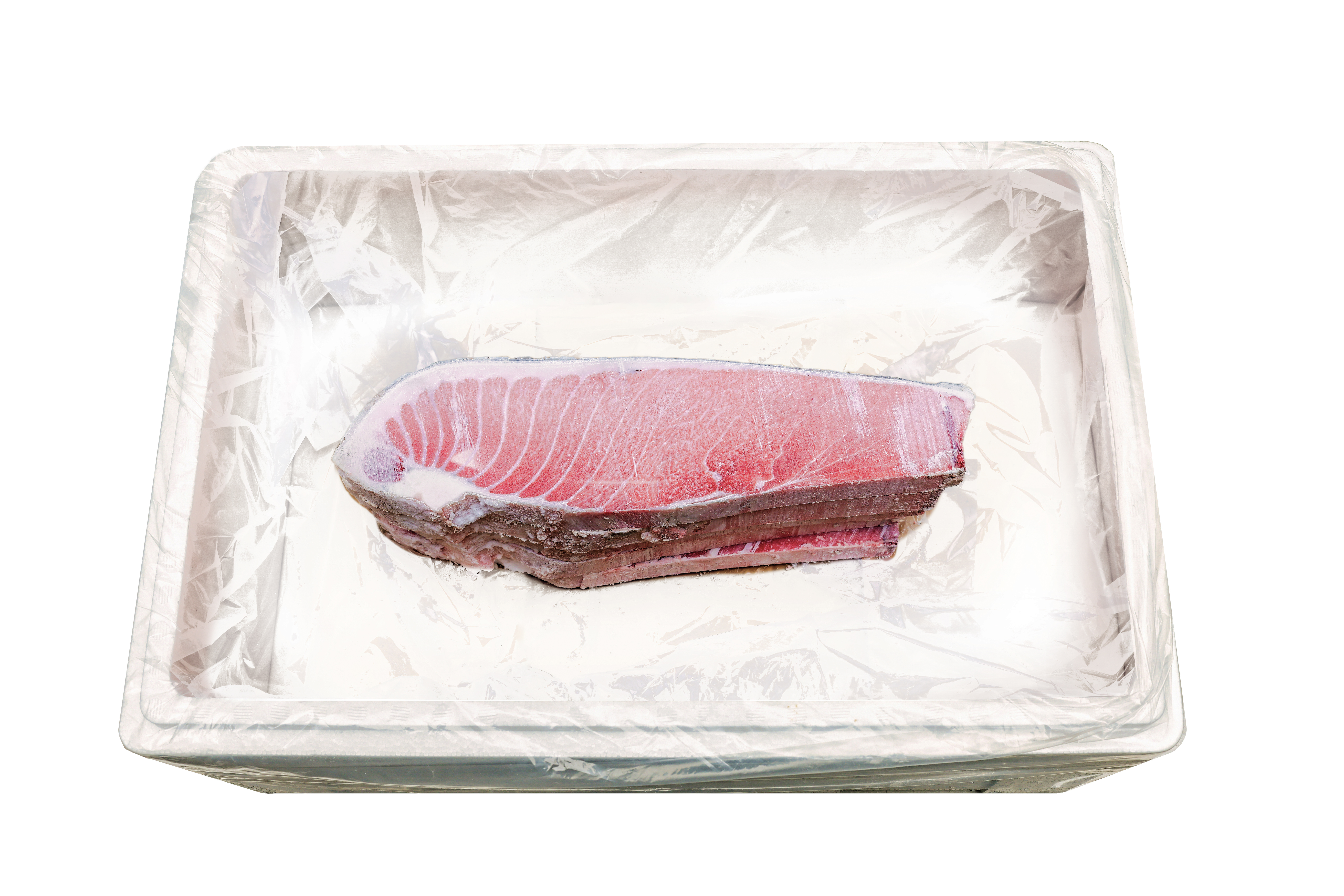 참다랑어 2번 도로 - 6kg/12kg