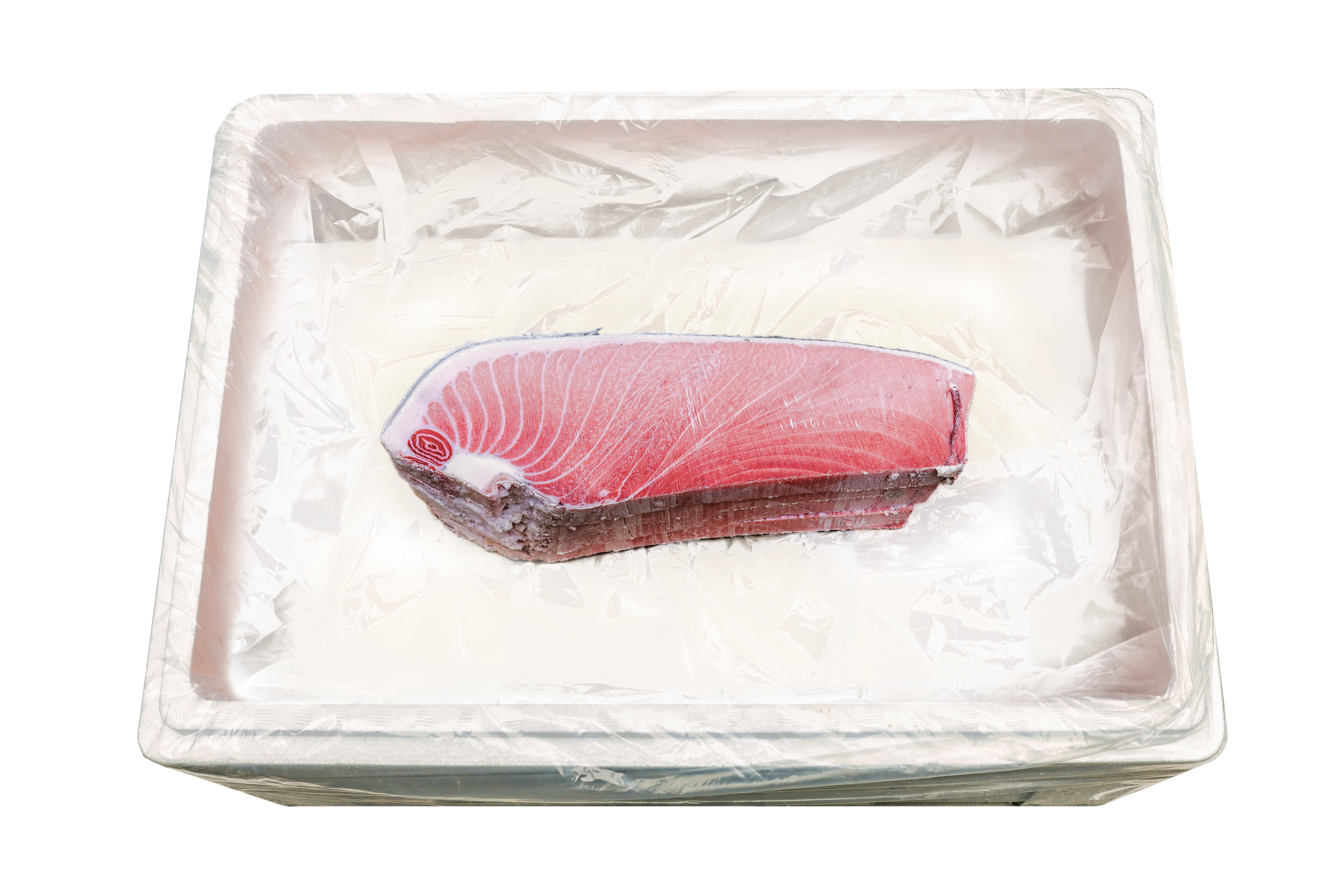 참다랑어 3번 도로 - 6kg/12kg