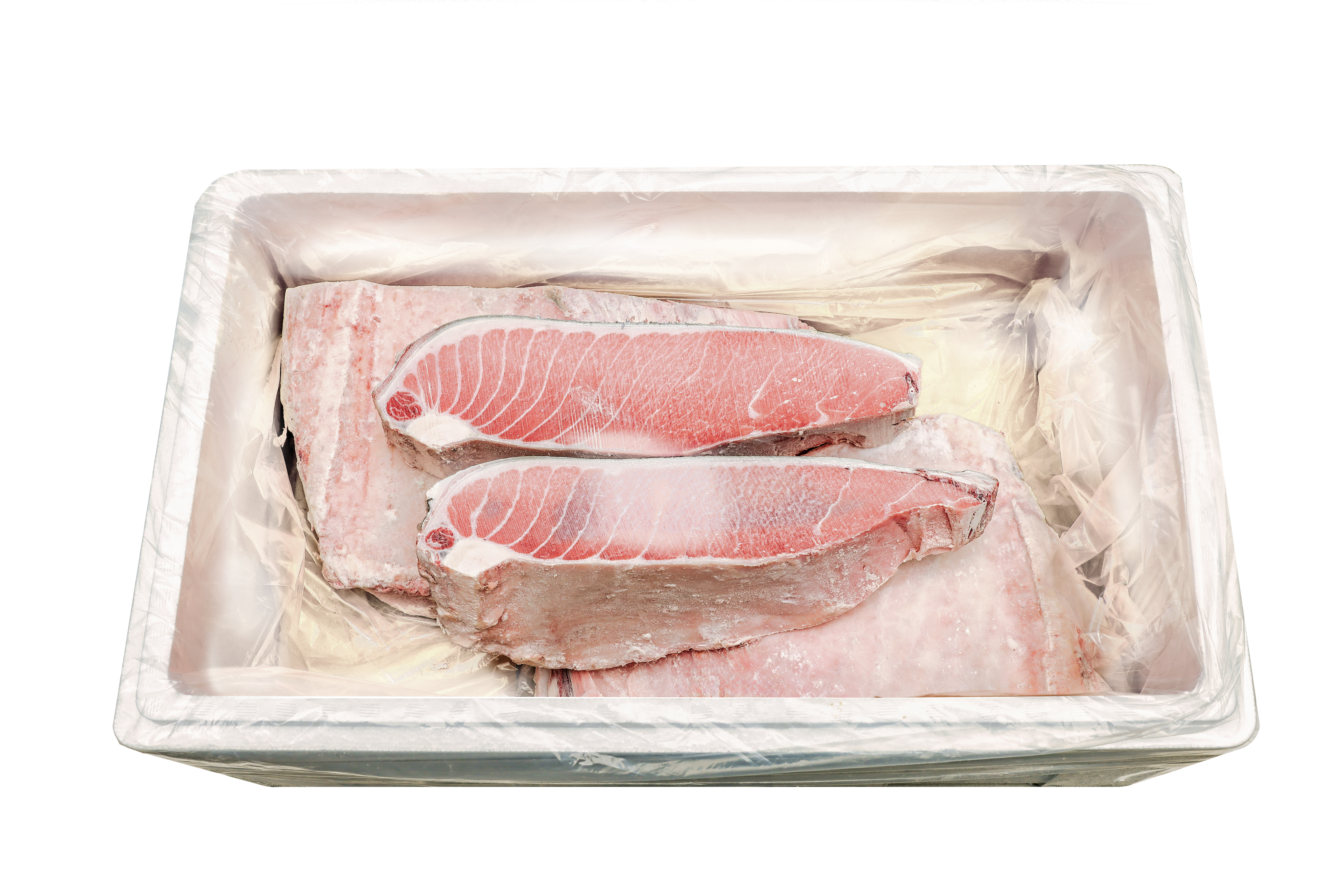 참다랑어 가마도로 5.0kg/10.0kg